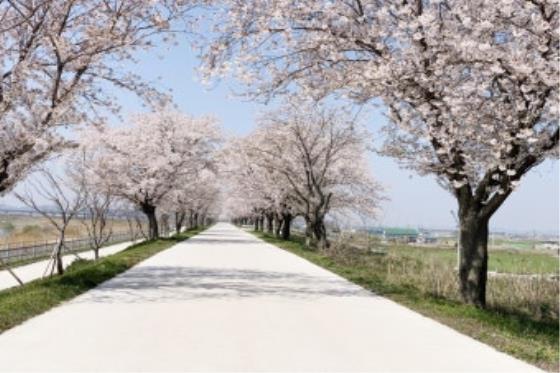 [����/����] ���� ���氭 ���� ���������� [������]