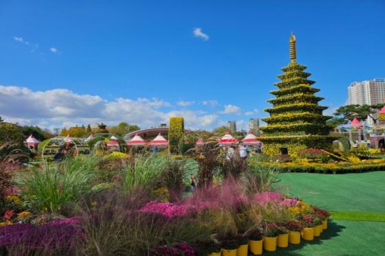 [12/] ͻ ȭ & ã  å 