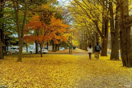 [23/]   ǿ! û ! ü 15 