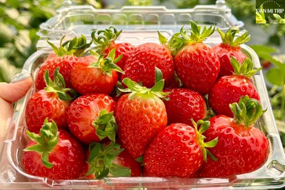 [1��2��/����] ������ ���� ������~ �� ���� ����&�����Ȯ����