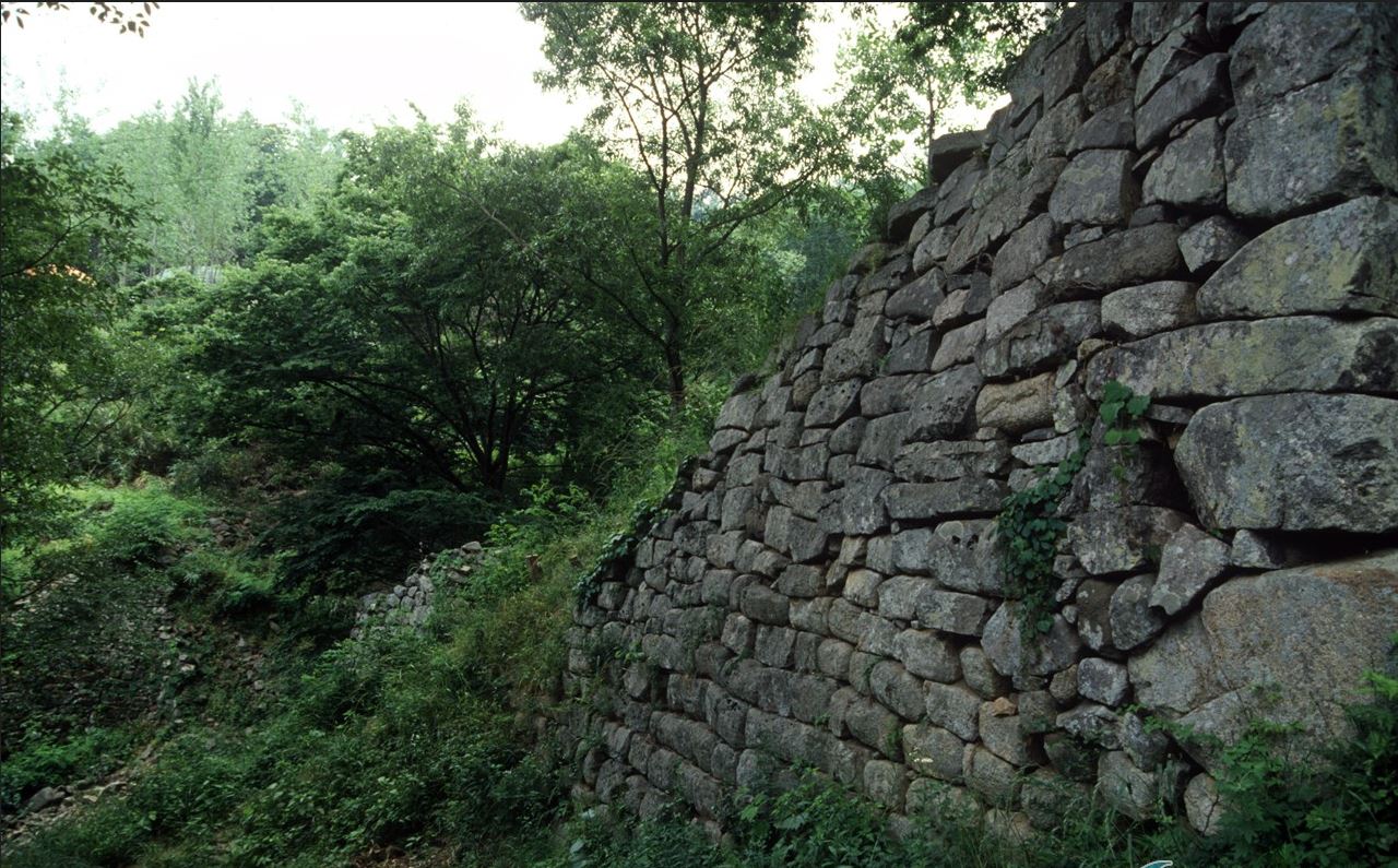 54.JPG