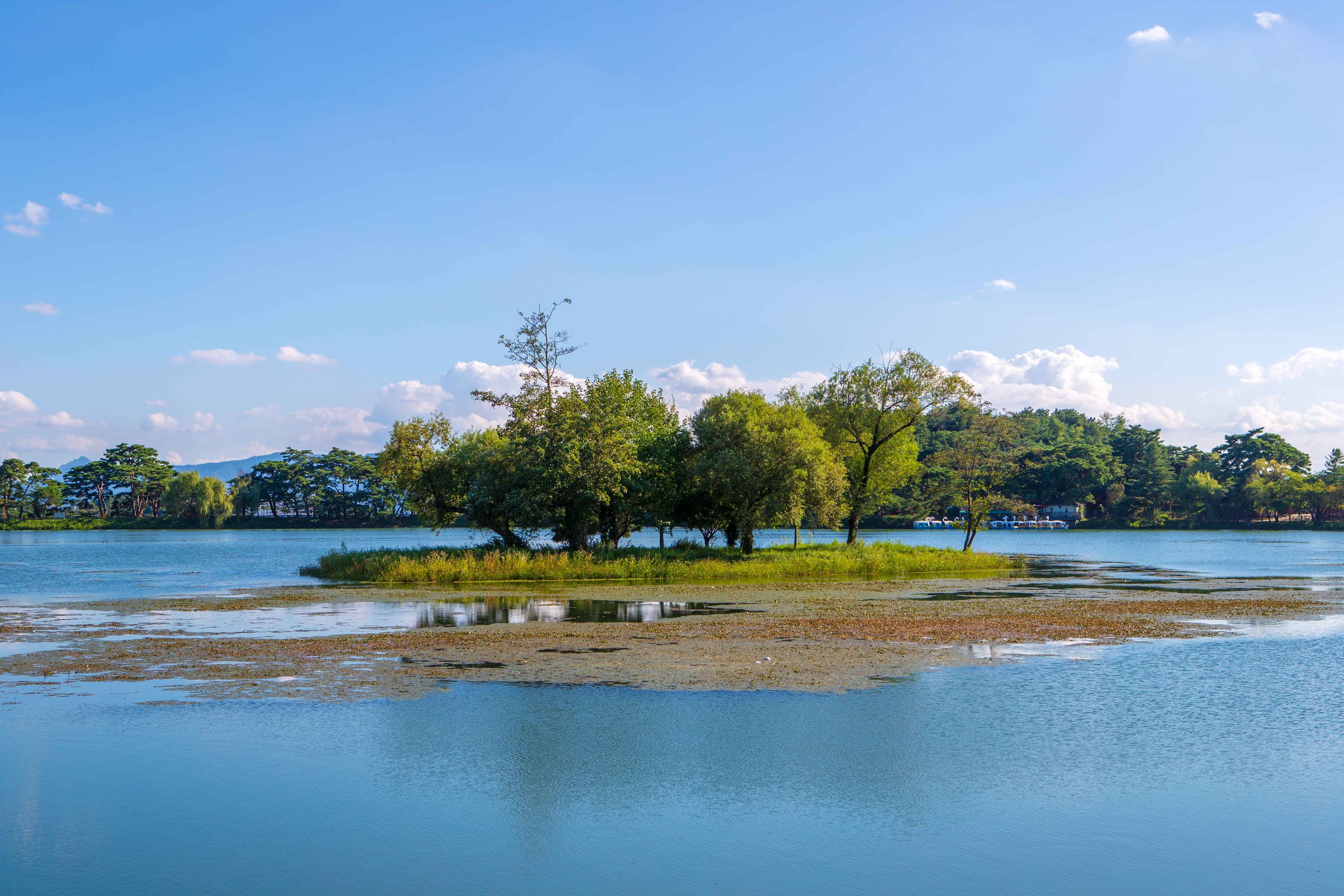 Type1_??o ??????? ????_??????????? ?????_NzZNua.jpg