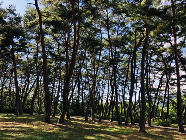 u????2 ???????��? ?��?????.jpg