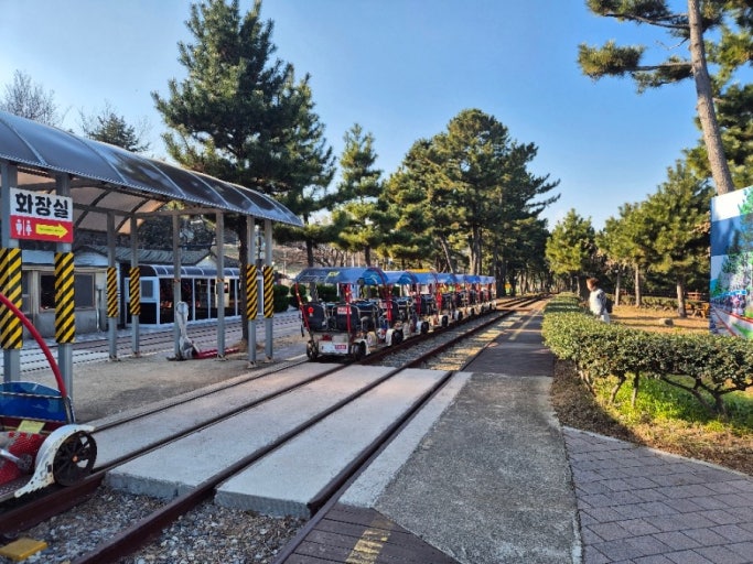 14 ????????? ??????.jpg