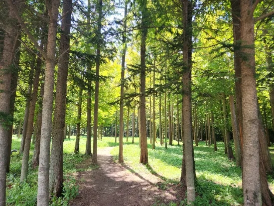 ?????? ?????????? ???????��? 1- ?????.jpg