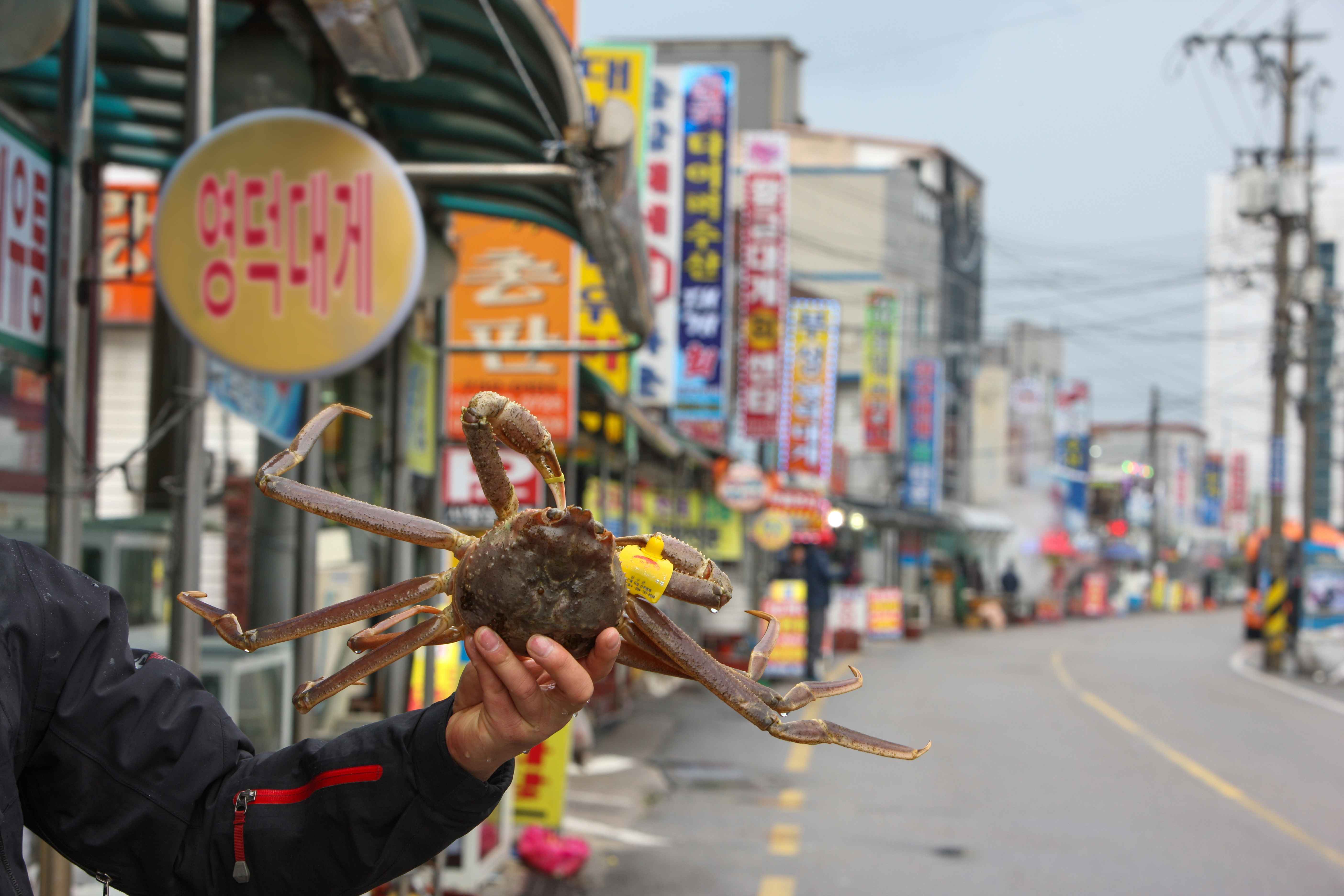 Type1_???? ?????_??????????? ?????_v42iya.jpg