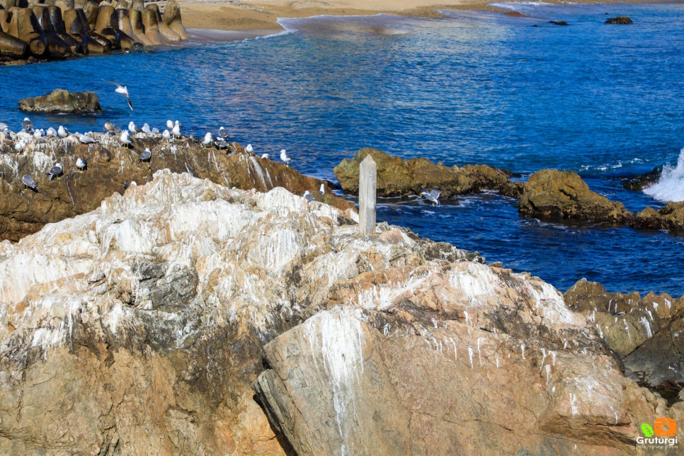 ????????? ???????��?- ??????.jpg