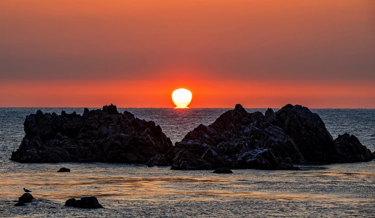 ???????? ???????��?-????????????.jpg