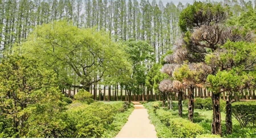 ????? ???? ???????��?-????????.jpg