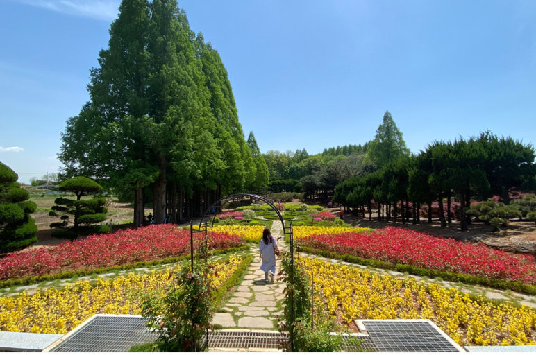 ????? ???? ???????��?-???????.jpg