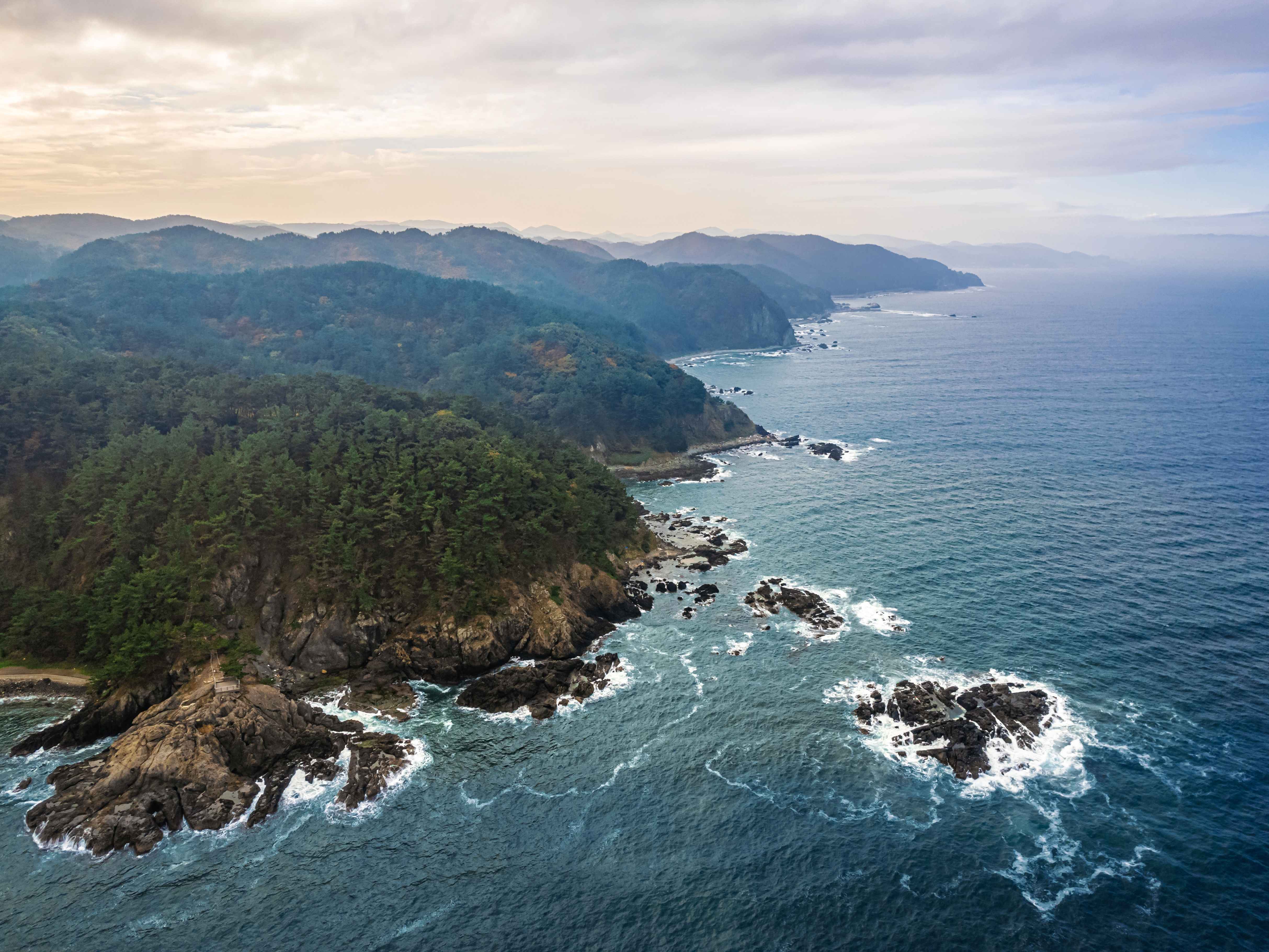 Type1_???? ????????_?????? ???_y6P84U.jpg