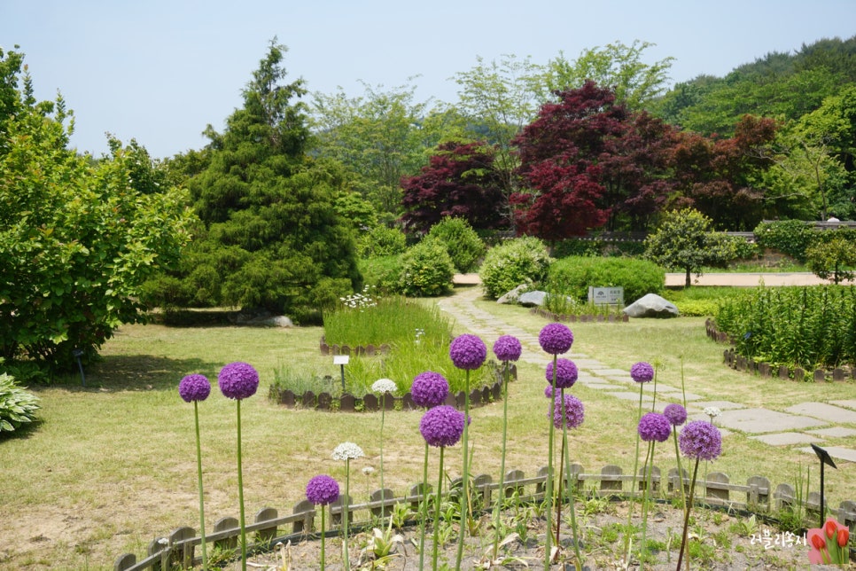 ????????_???????��?-?????????, ????.jpg