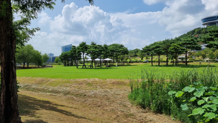 6 Right now a trip.jpg