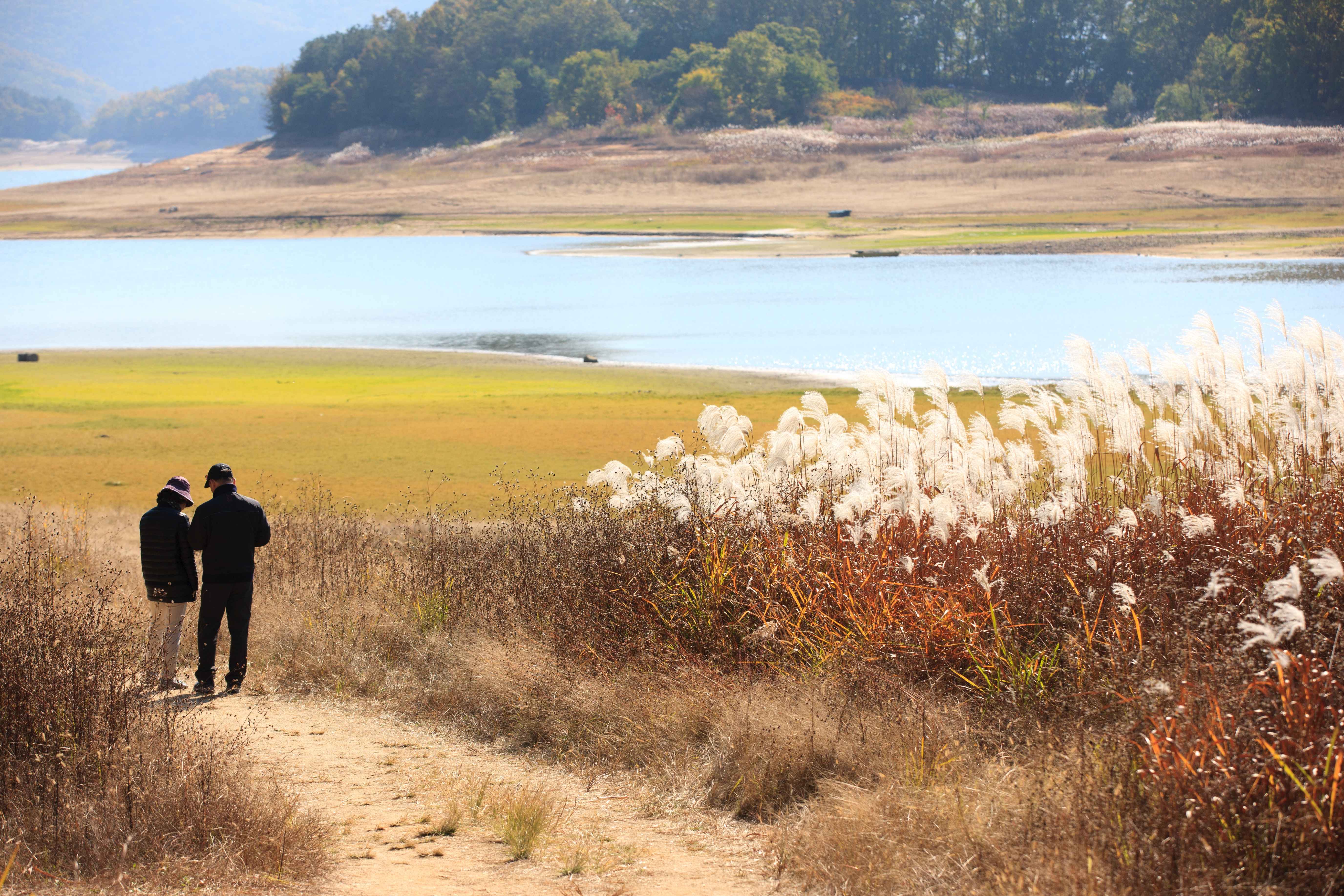 Type1_??u? ??????_??????????? ?????_PVPcda.jpg