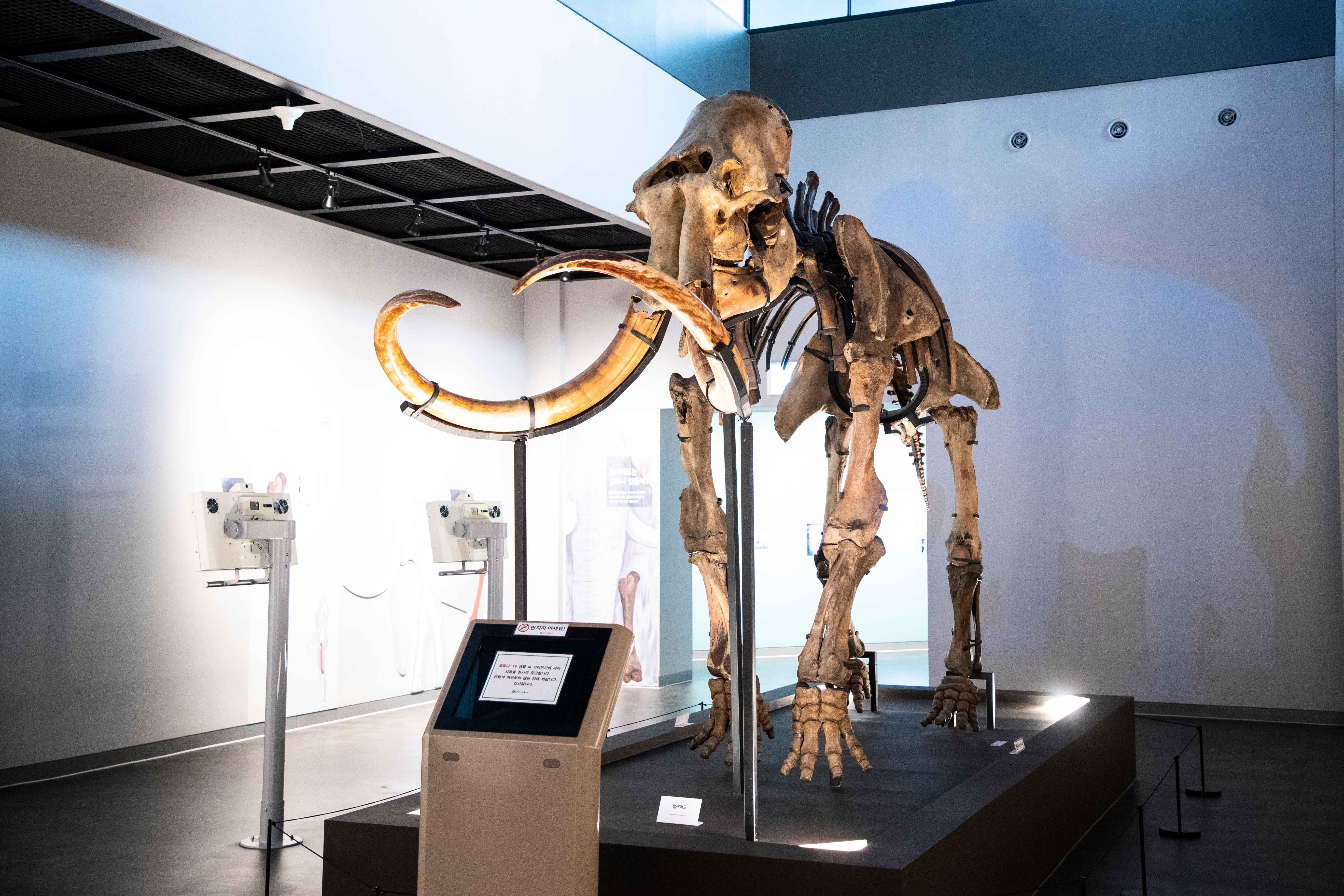 Type1_???????_??????????? ?????_UITGja.jpg