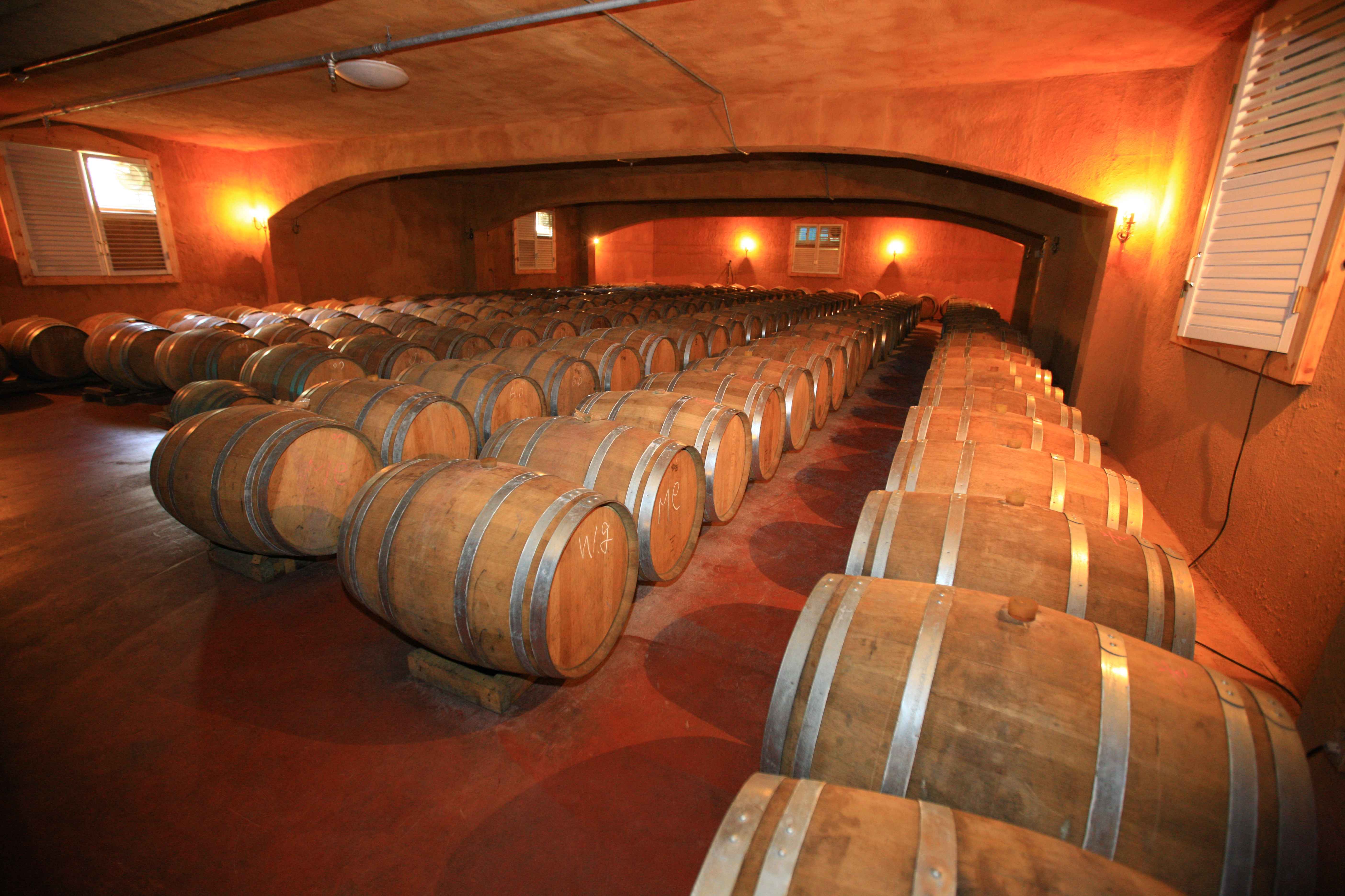 5 ?????????_??????????? ?????_sEfXra.jpg