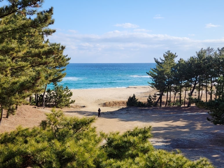 ?????? ???????��?_???.jpg