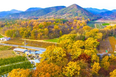 ??????��? ???????��?_????��??.jpg