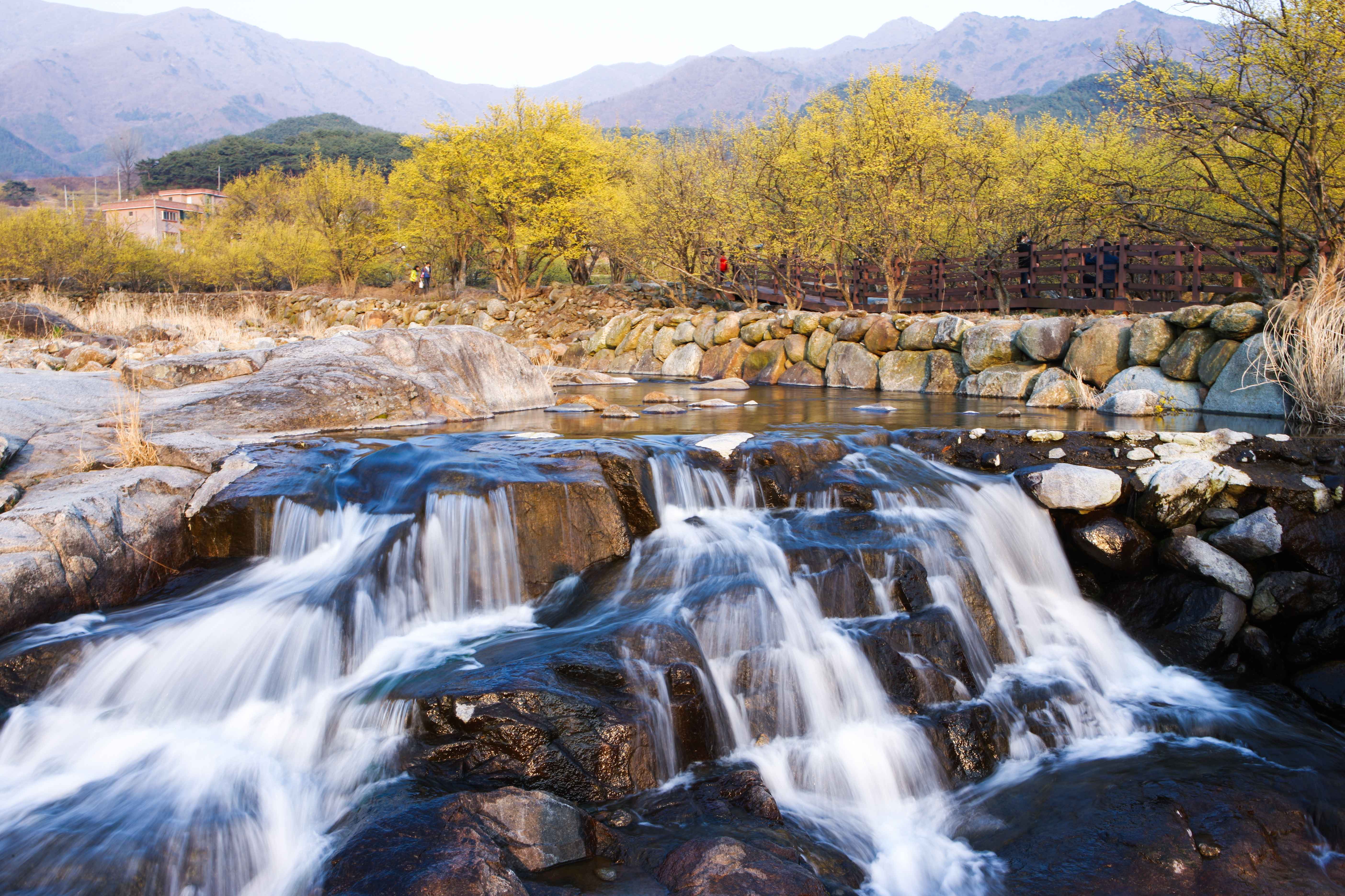 Type1_???? ?????????_??????????? ?????_yjMzPa.jpg