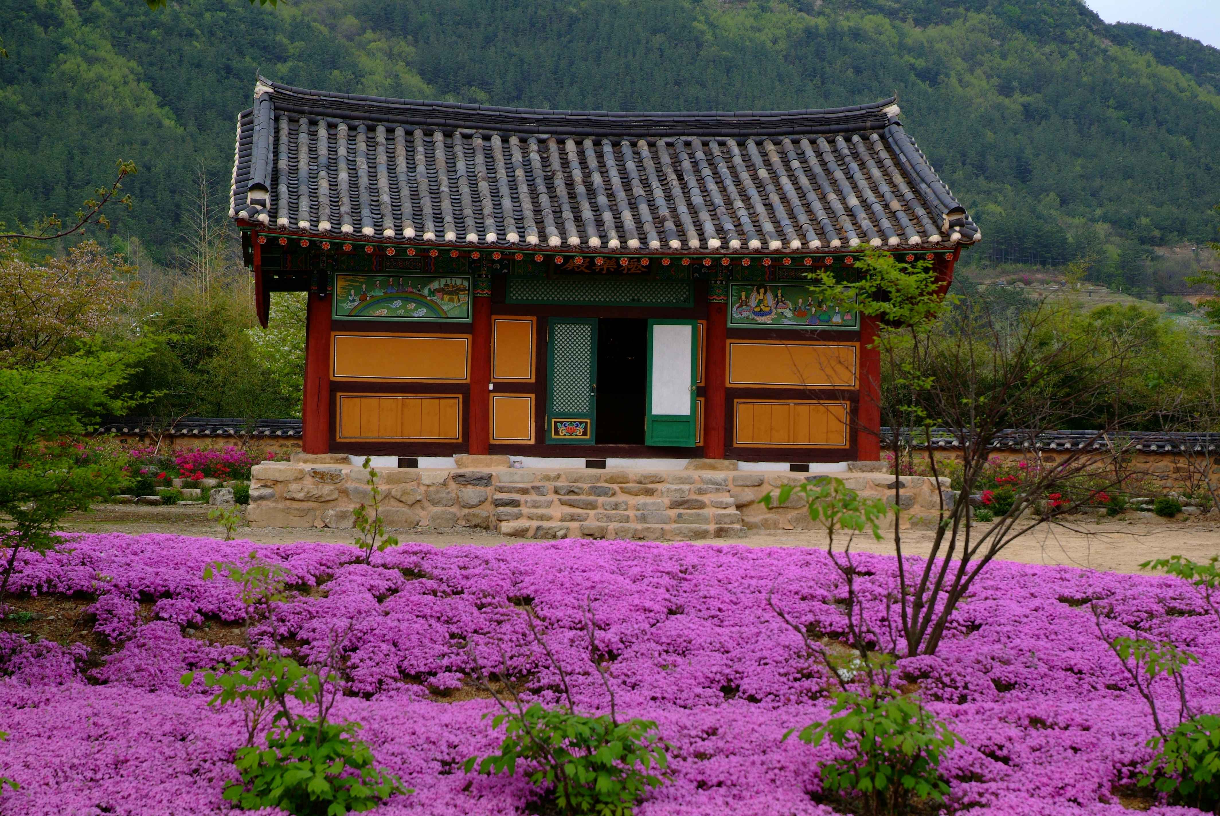 Type1_???? ?????_??????????? ?????_nW52Ha.jpg