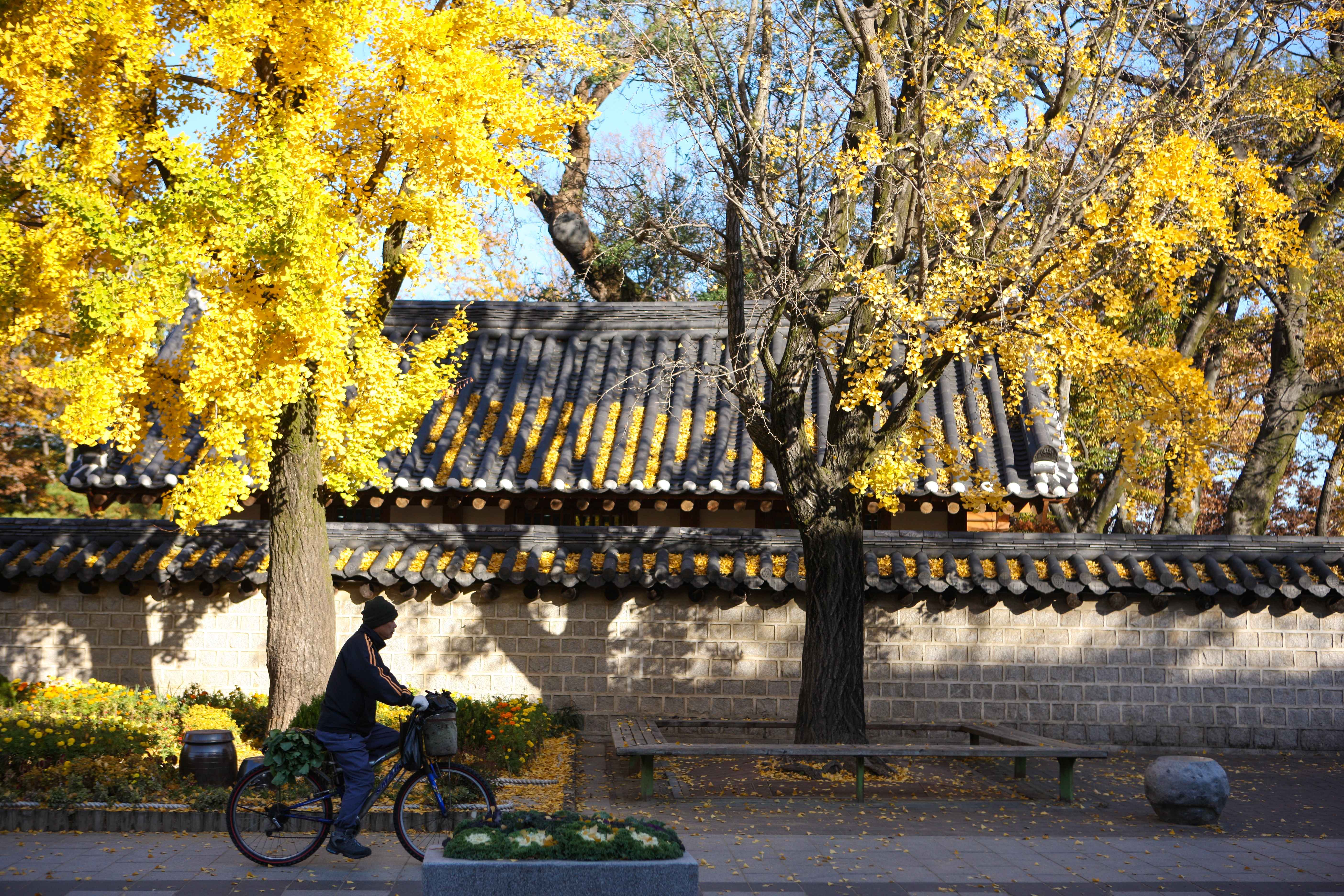 Type1_???????????_??????????? ?????_xvNASa.jpg