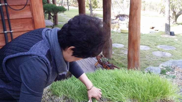 ?��??? ???????��?_??????.jpg