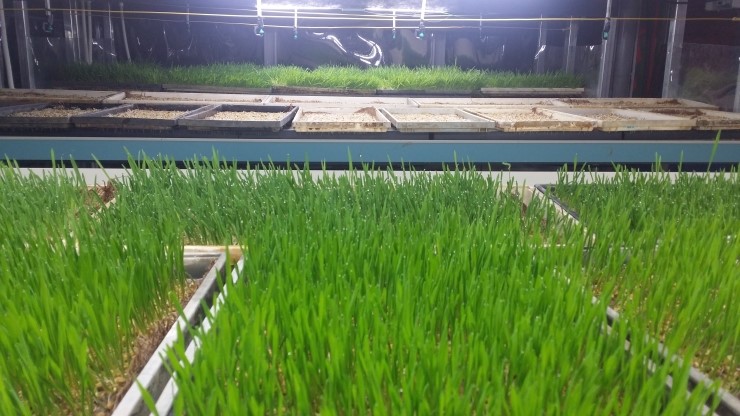 ?��??? 2???????��?_??????.jpg