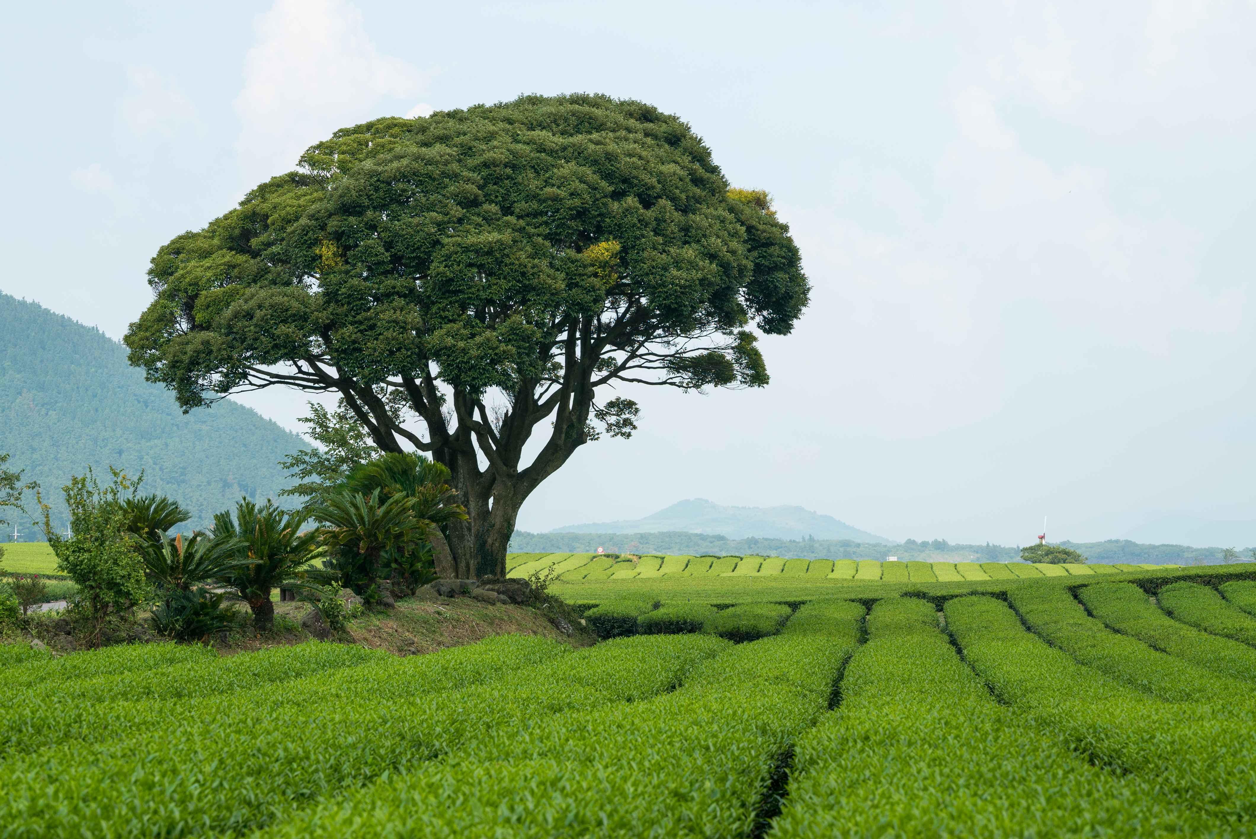 Type1_??????????????_??????????? ?????_obPWSa.jpg