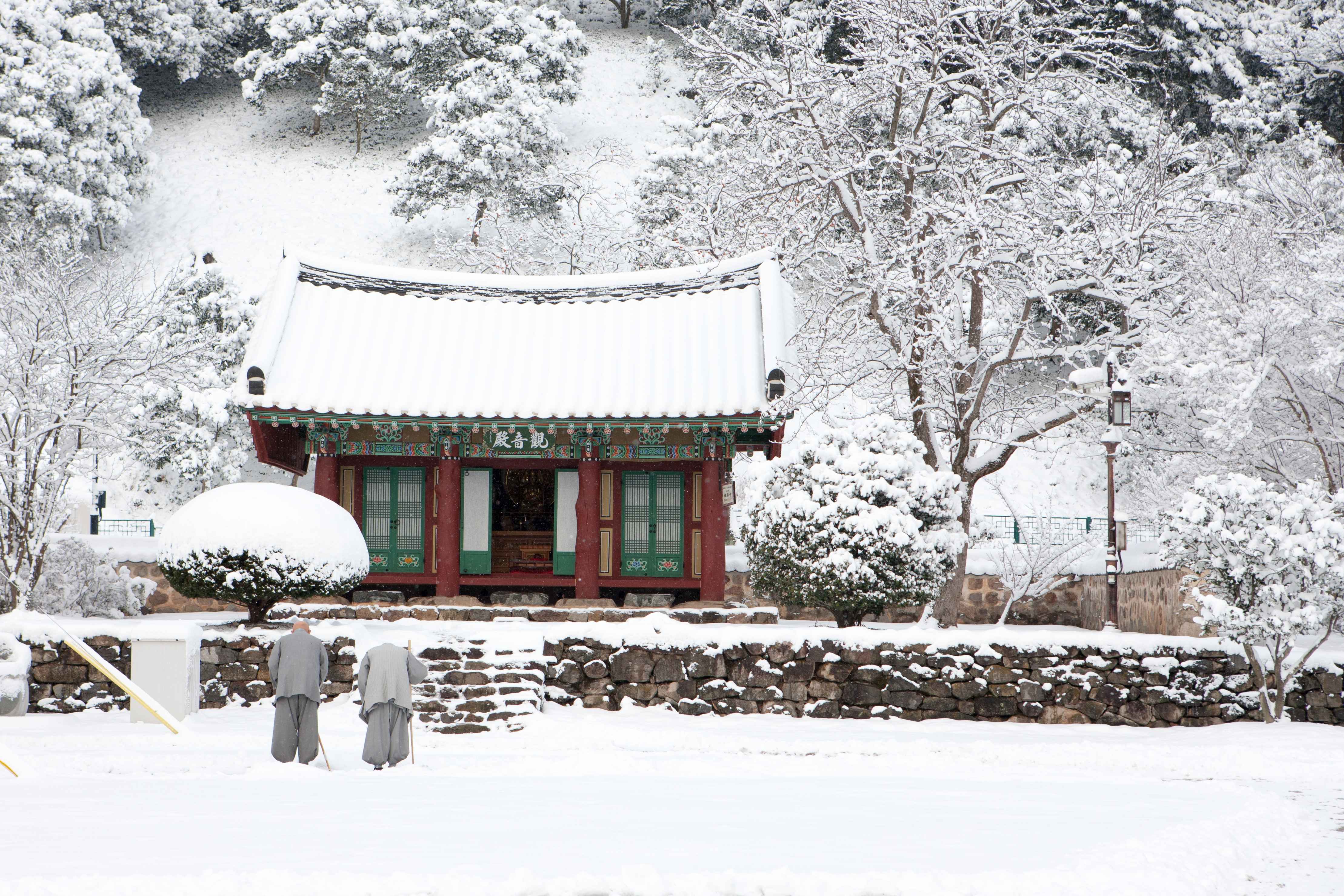 Type1_?????_??????????? ?????_D0ksya.jpg