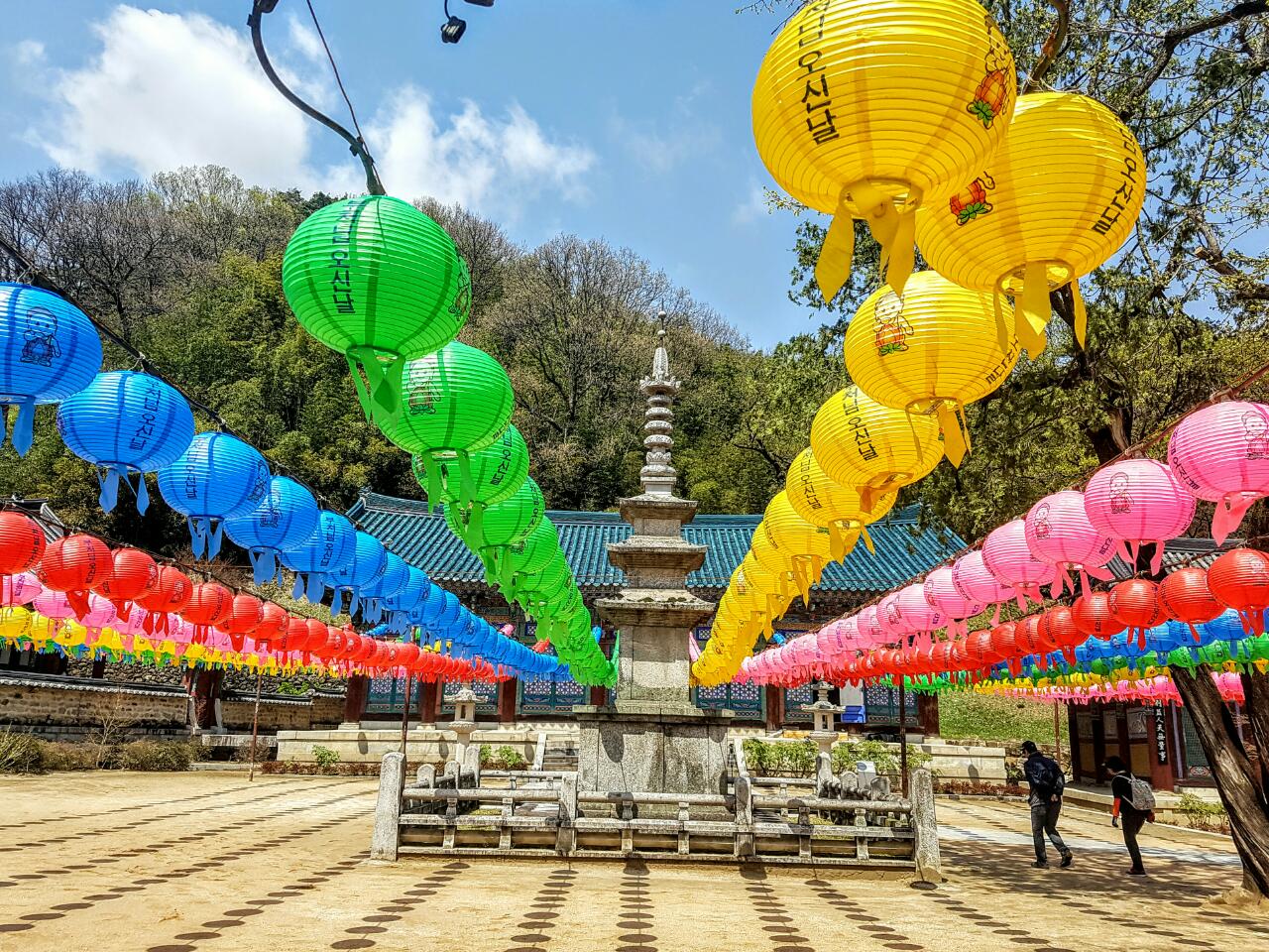 ������ (2).jpg