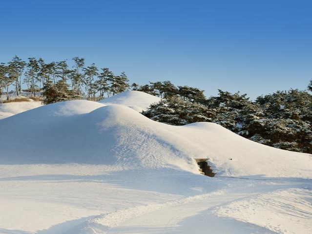 920_TUCN_202004270541145194 (1).jpg