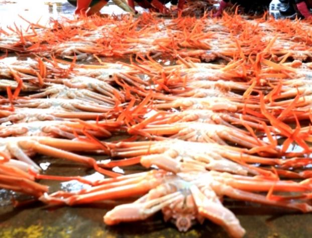 ���� �����������.JPG