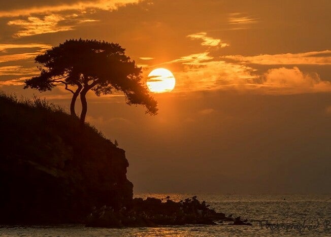 6 ???????? 6 ????????.jpg