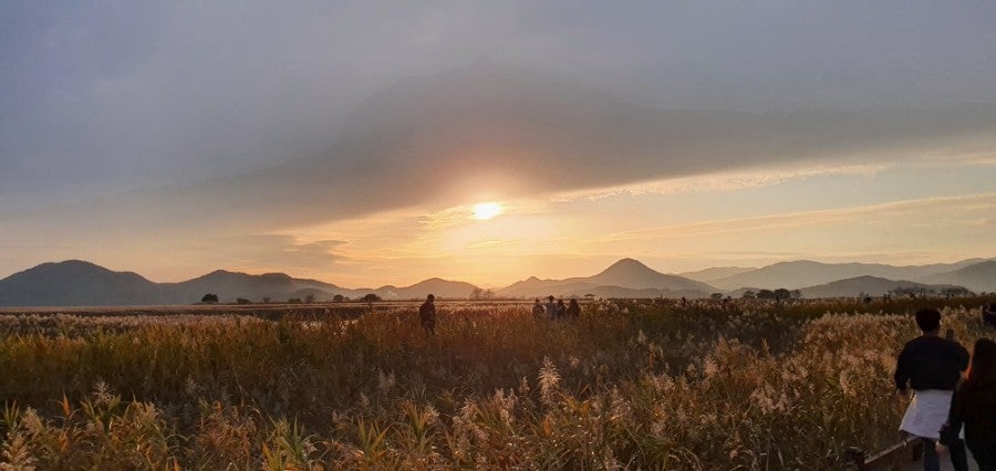 ?????2_????? ??????.jpg