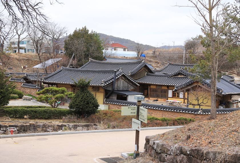 �鸶��.jpg