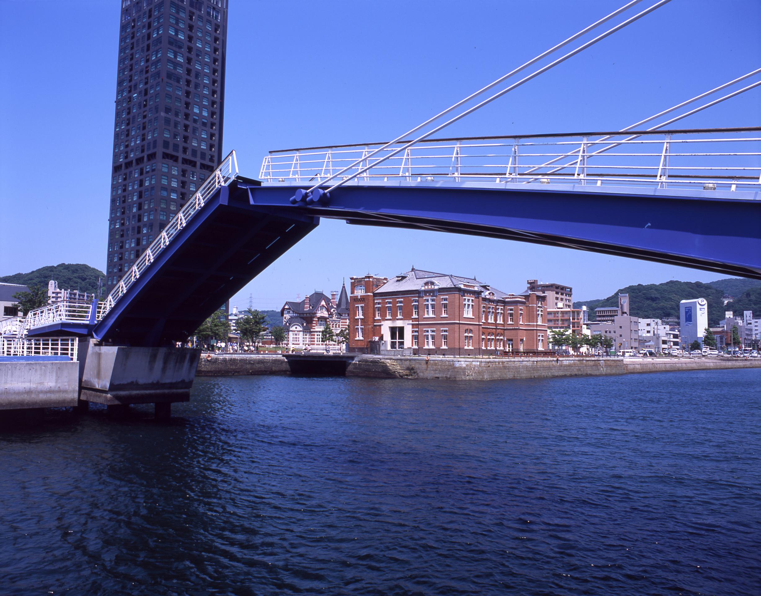 img10.jpg