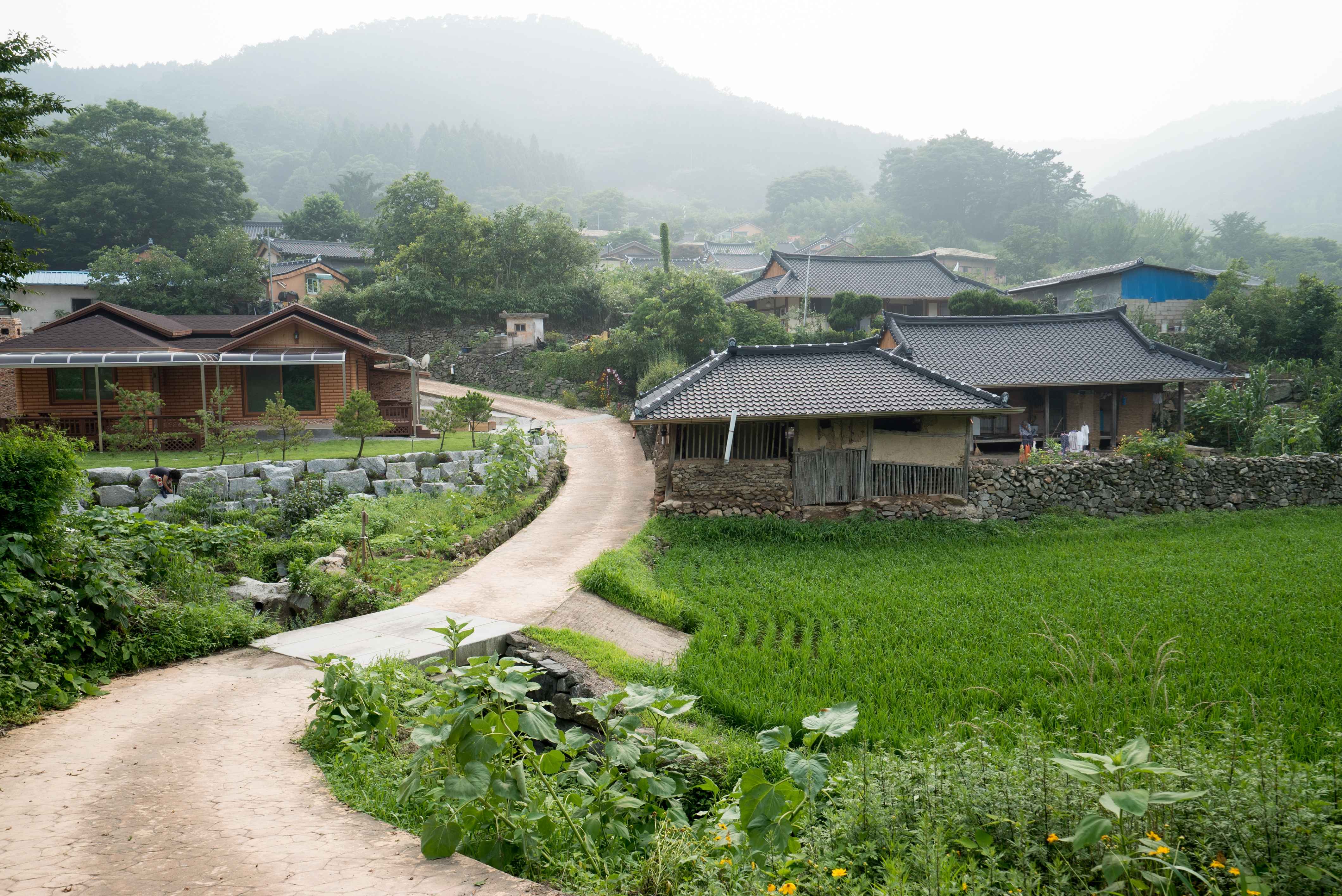 Type1_????????_??????????? ?????_7TYGWa.jpg