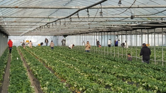 ?????? ???????��?.jpg