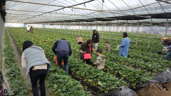 ?????? ???????��?-??????????.jpg