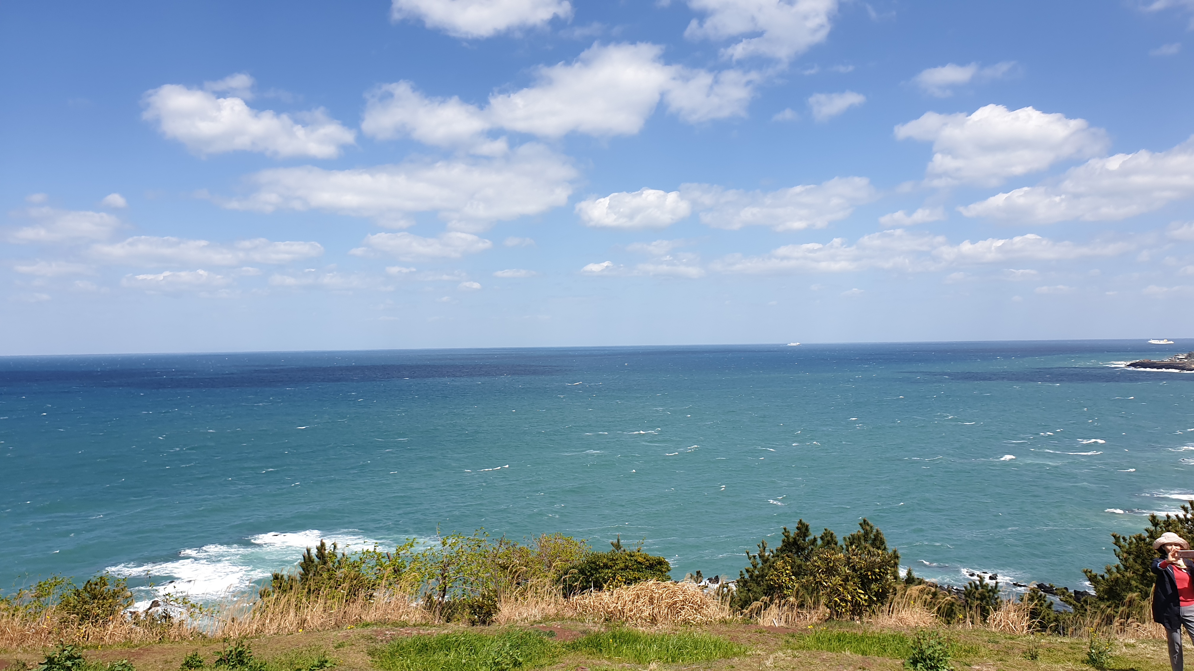 20190331_125945.jpg