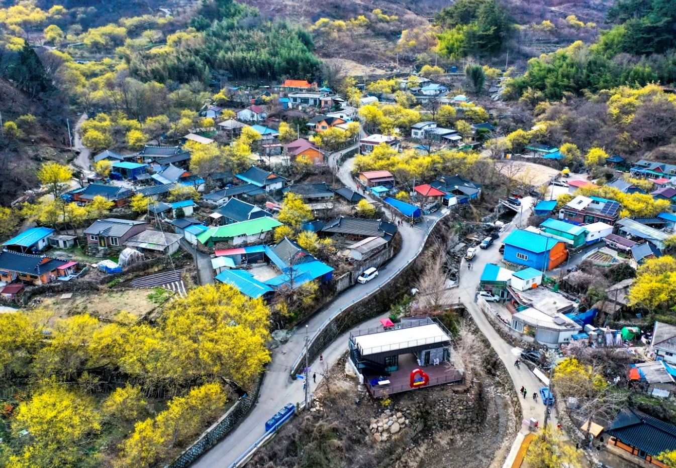 ����� ����.jpg