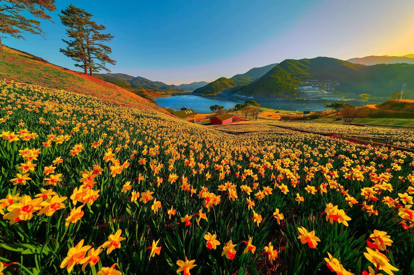 ������ ġ���_���ѱ��������� �����ڸ���-��ö��.JPG