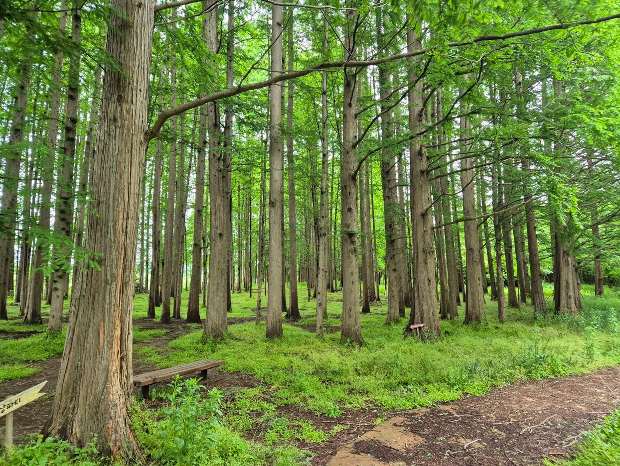 � ������.jpg