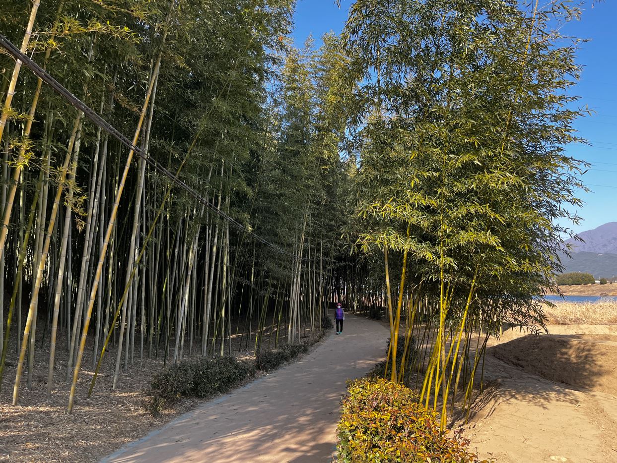 ������ ��������� (1).jpg