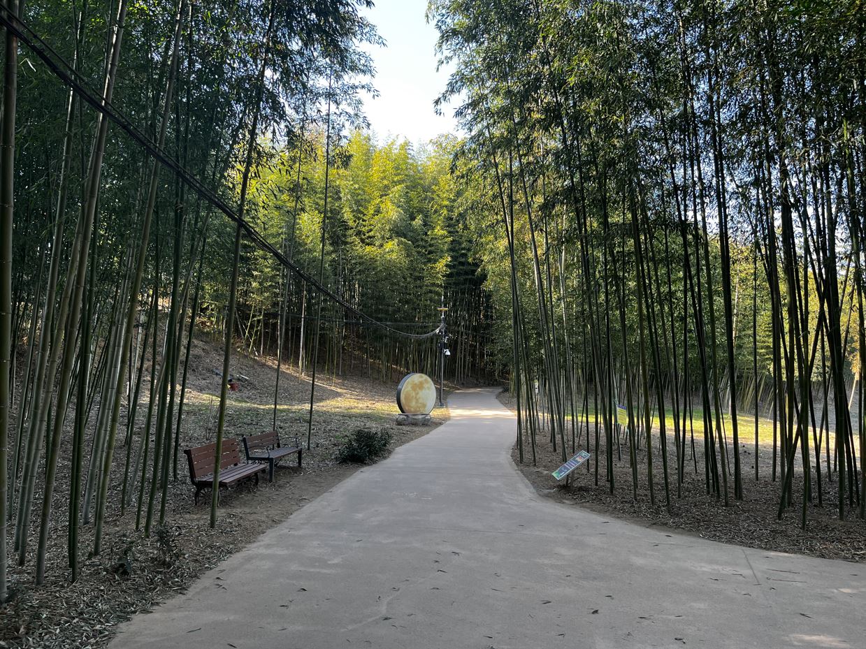 ������ ��������� (2).jpg