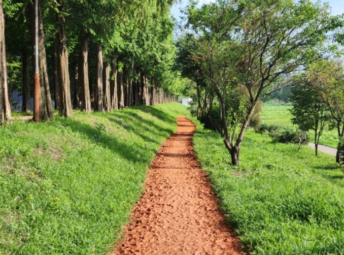 ���ָ�Ÿ�����̾��_������ ���Ϸ��� �ູ�� �Ϸ���.JPG