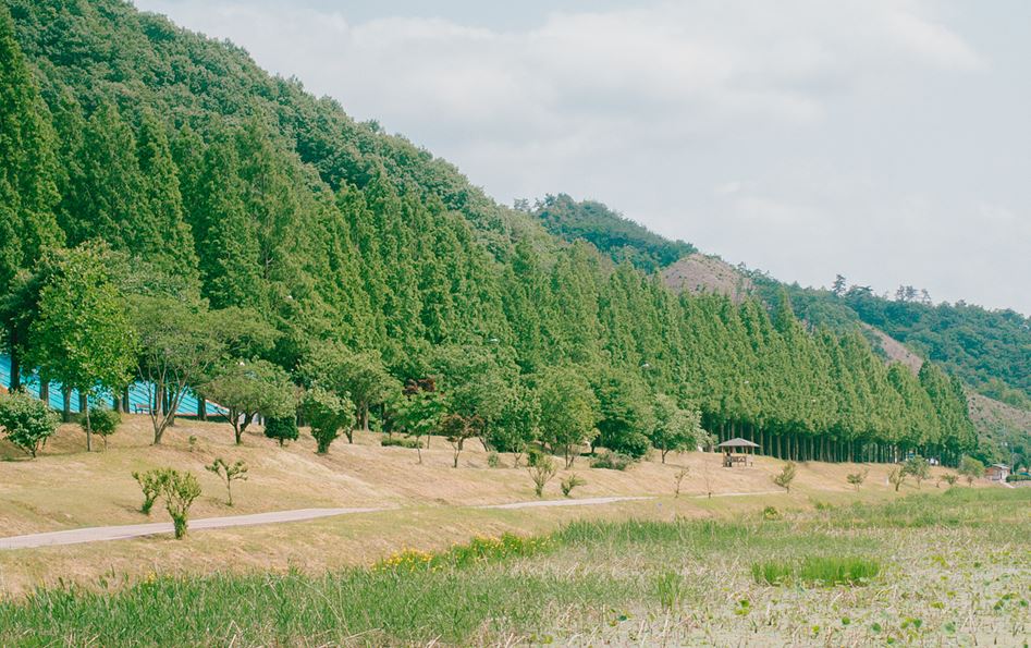 ���ָ�Ÿ�����̾��_������ �ټ� ��� ��.JPG