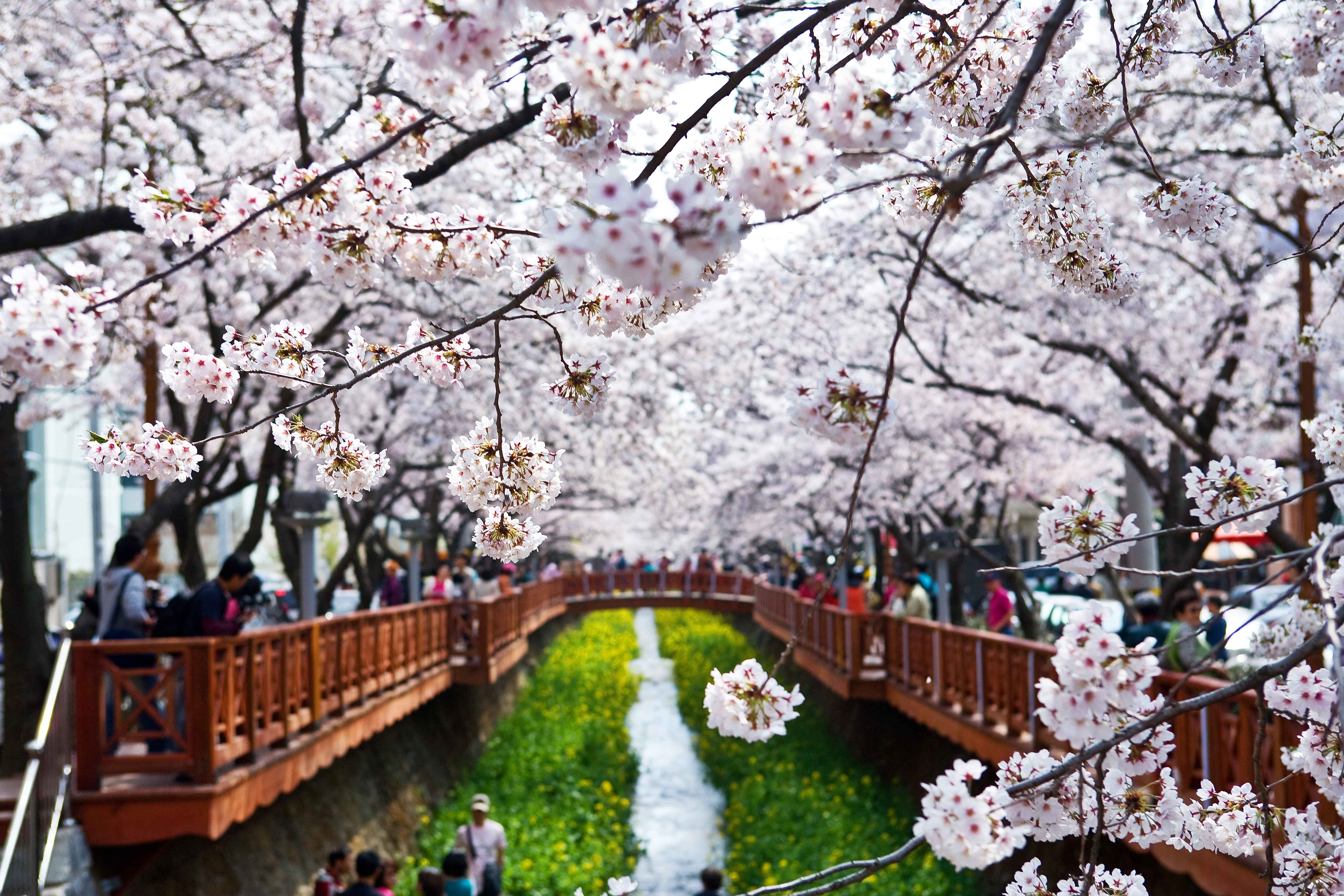 Type1_????o_???????????, ??????_CL84na.jpg