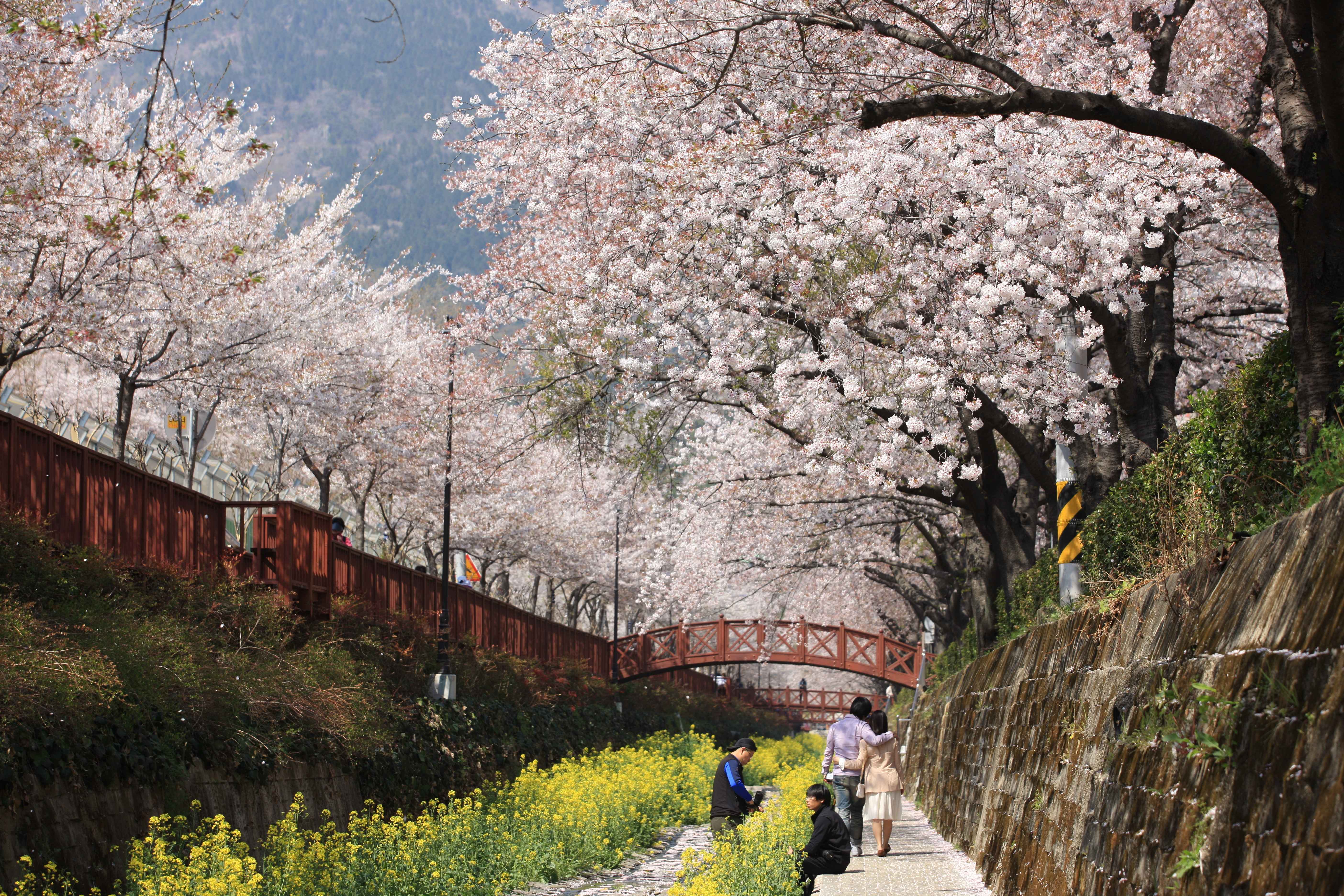 Type1_????o_??????????? ?????_Nw99ya.jpg