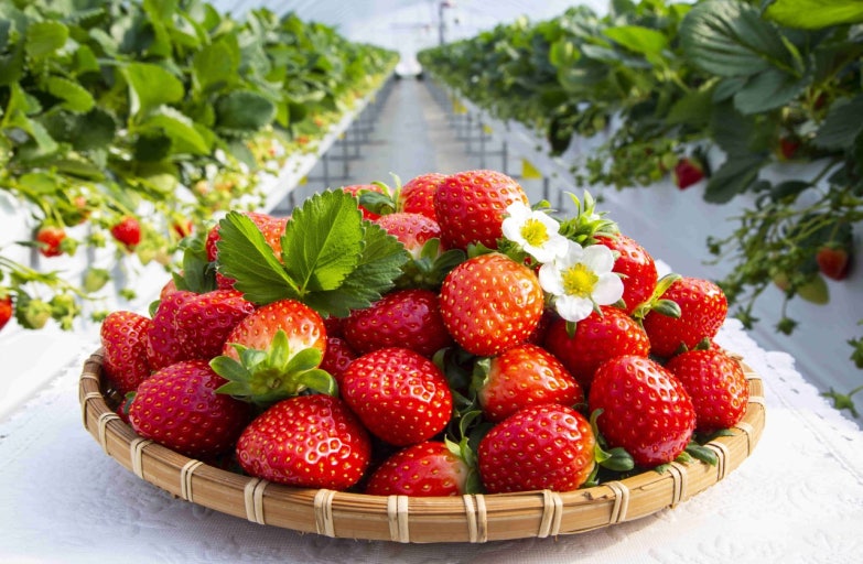 ????_????????? ????? IT???? ????.jpg